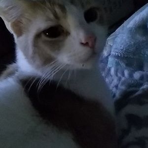 Meet your Posher, Katherine